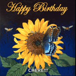 Happy Birthday Happy Bday GIF