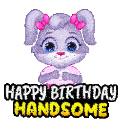 Happy Birthday Happy Bday Sticker GIF