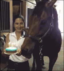 Happy Birthday Horse Blowing Cake Candles GIF