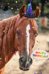 Happy Birthday Horse Confetti Party Hat GIF