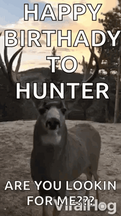 Happy Birthday Hunter Deer Looking For Me GIF