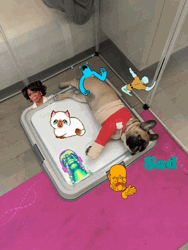 Happy Birthday Lying Dog GIF