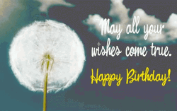 Happy Birthday May Wish Come True GIF