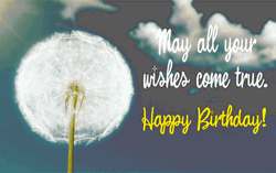 Happy Birthday My Your All Wishes Come True GIF