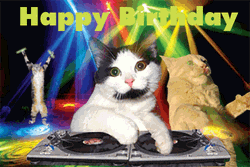 Happy Birthday Party DJ Cat  GIF