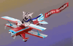 Happy Birthday Plane Cat GIF