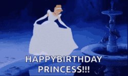Happy Birthday Princess Cinderella Movie GIF