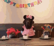 Happy Birthday Puppies Wearing Party Attires Devouring Cake GIF