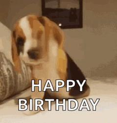Happy Birthday Puppy Beagle Howling