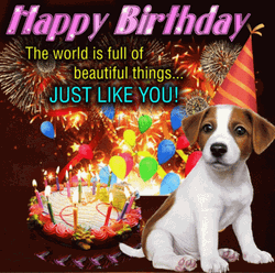 Happy Birthday Puppy Greeting Message With Fireworks Design