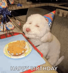 Happy Birthday Puppy Grinning And Wagging Tail GIF