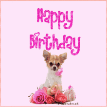 Happy Birthday Puppy Pink Theme With Roses