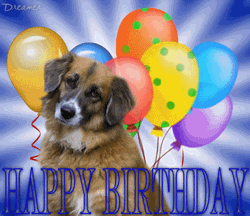 Happy Birthday Puppy With Colorful Balloons
