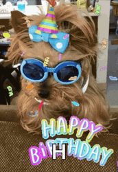 Happy Birthday Puppy With Sunglasses And Confetti