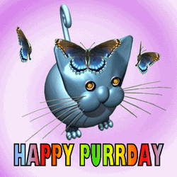Happy Birthday Purrday Cat GIF