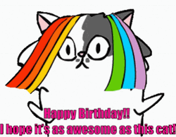 Happy Birthday Rainbow Wig Cat GIF