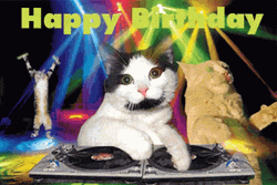 Happy Birthday Sister Funny Meme DJ Cat GIF