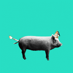 Happy Birthday Sister Funny Meme Grinning Pig GIF