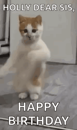 Happy Birthday Sister Happy Birthday GIF