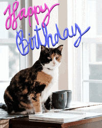 Happy Birthday Sister In Law Funny Curious Cat Meme GIF