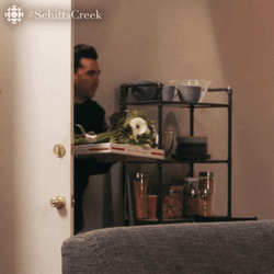 Happy Birthday Sister In Law Funny David Rose Meme GIF
