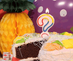 Happy Birthday Sister In Law Funny Lighted Candle Meme GIF