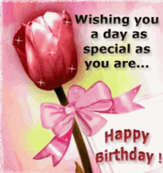 Happy Birthday Special Day Wishing GIF