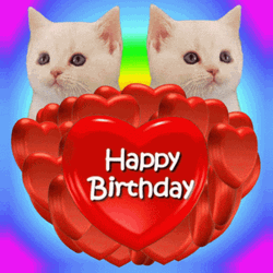 Happy Birthday Twins Cat & Heart GIF