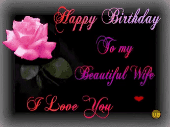 Happy Birthday Wife Ily GIF