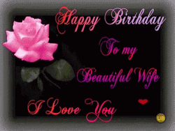 Happy Birthday Wife Ily GIF