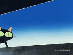 Happy Black Cat GIF