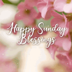 Happy Blessed Pink Orchids GIF