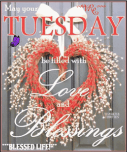 Happy Blessed Tuesday Love GIF