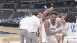 Happy Bruins Celebrate GIF