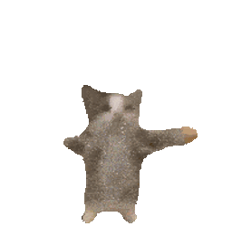 Happy Cat Dance Sticker GIF