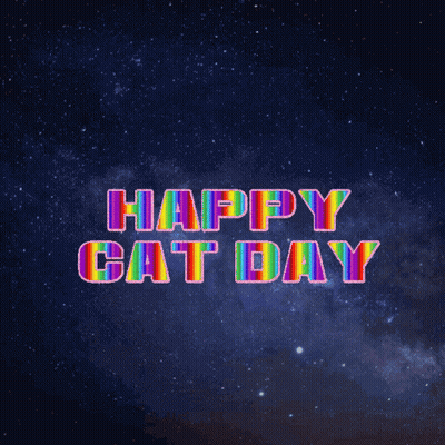 Happy Cat Day Rainbow Letters Starry Sky GIF