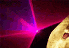 Happy Cat Party Celebration Neon Lights GIF