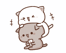 Happy Cat Peach Excited Reaction GIF