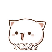 Happy Cat Peach Excited Yes Jump GIF