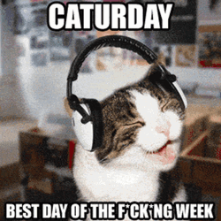 Happy Caturday Weekend Meme GIF