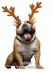 Happy Christmas Dog Deer Headband GIF