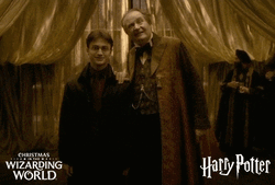 Happy Christmas Harry Potter And Professor Horace Slughorn GIF