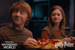 Happy Christmas Harry Ron Weasley Adult GIF