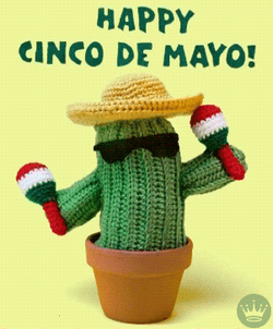 Happy Cinco De Mayo Spanish Celebration GIF