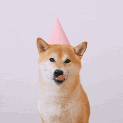 Happy Corgi Dog Birthday GIF