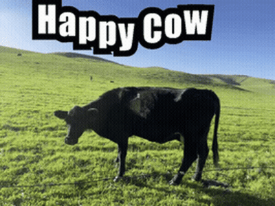 Happy Cow In Grassy Field GIF