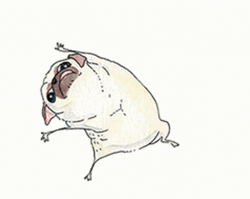 Happy Dancing Pug Cartoon GIF