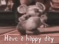 Happy Day Dancing Koala GIF