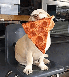 Happy Dog Eating Pizza GIF