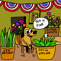 Happy Dog Everything Is Fine With All The Changes GIF